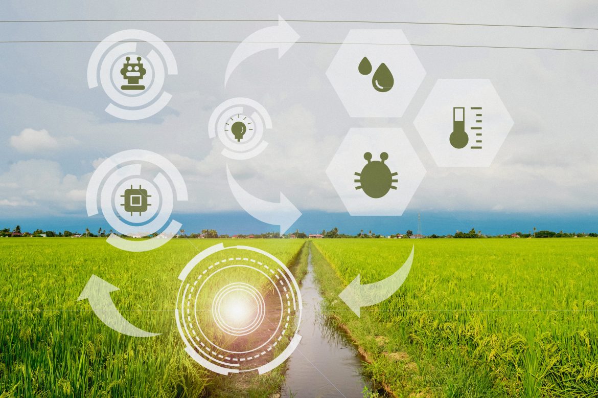Smart Agriculture: IoT And Automation In Farming